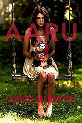 Aaru by David Meredith book cover
