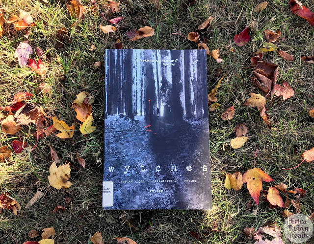 Wytches Vol 1 by Scott Snyder book photo