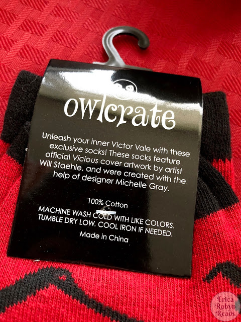 Owlcrate Unboxing: The Vicious and Vengeful Box- Socks