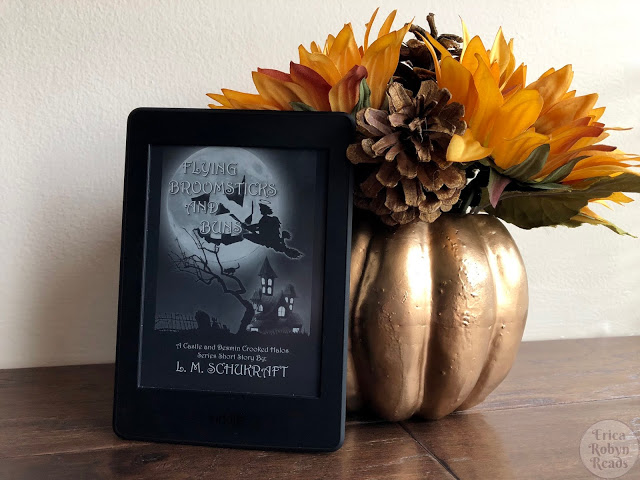 Flying Broomsticks and Buns by L.M. Schukraft book review by Erica Robyn Reads