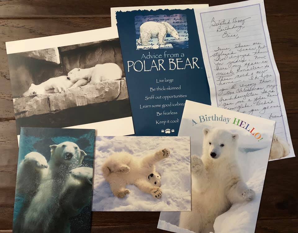 polar bear notes and cards