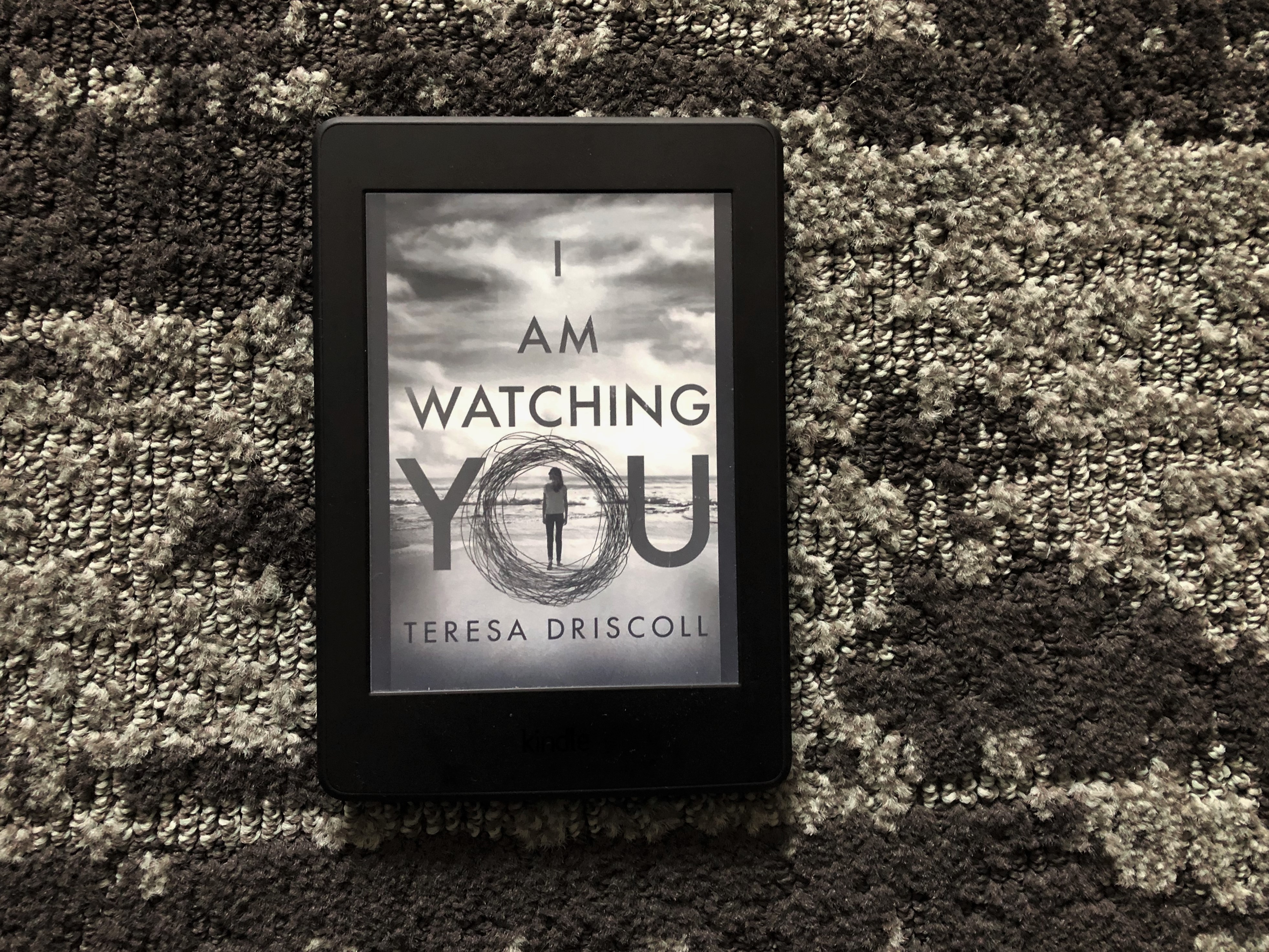 I Am Watching You by Teresa Driscoll book photo