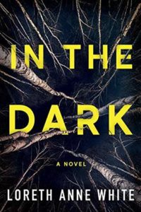 In The Dark book cover