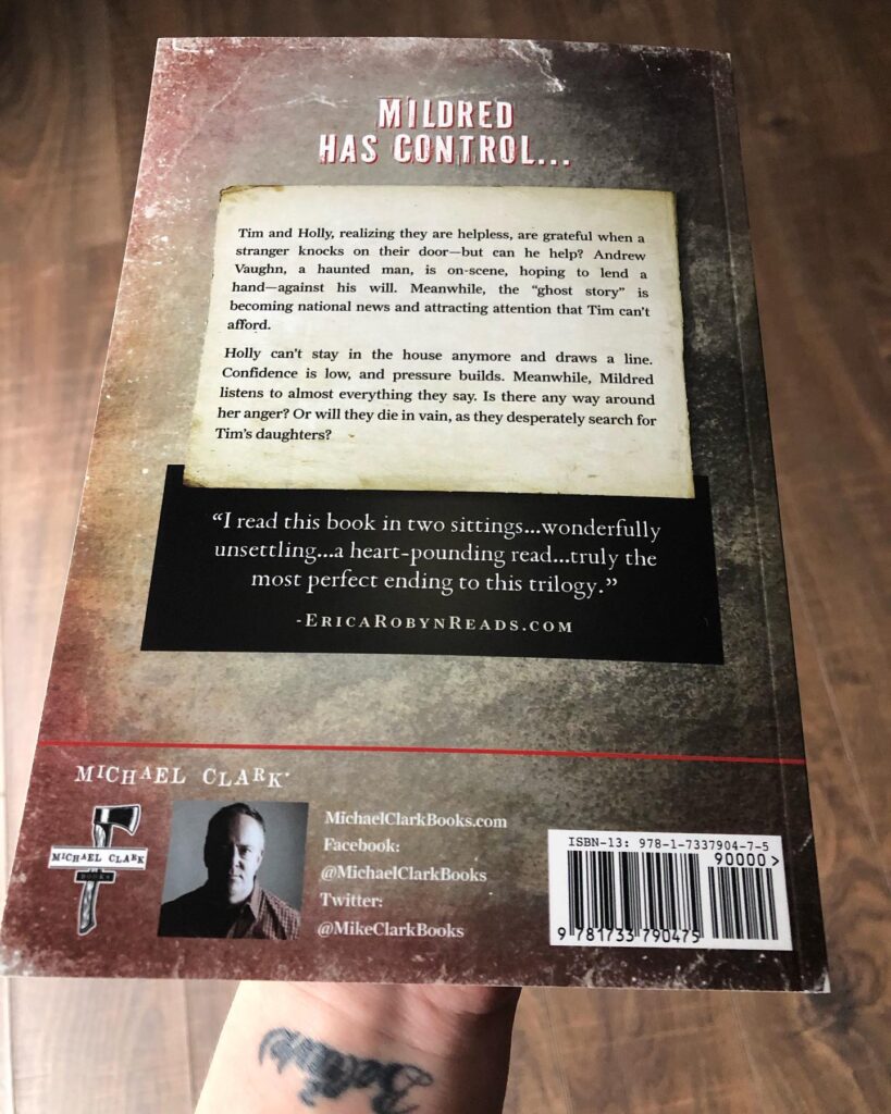 Anger Is An Acid Book Blurb Erica Robyn Reads