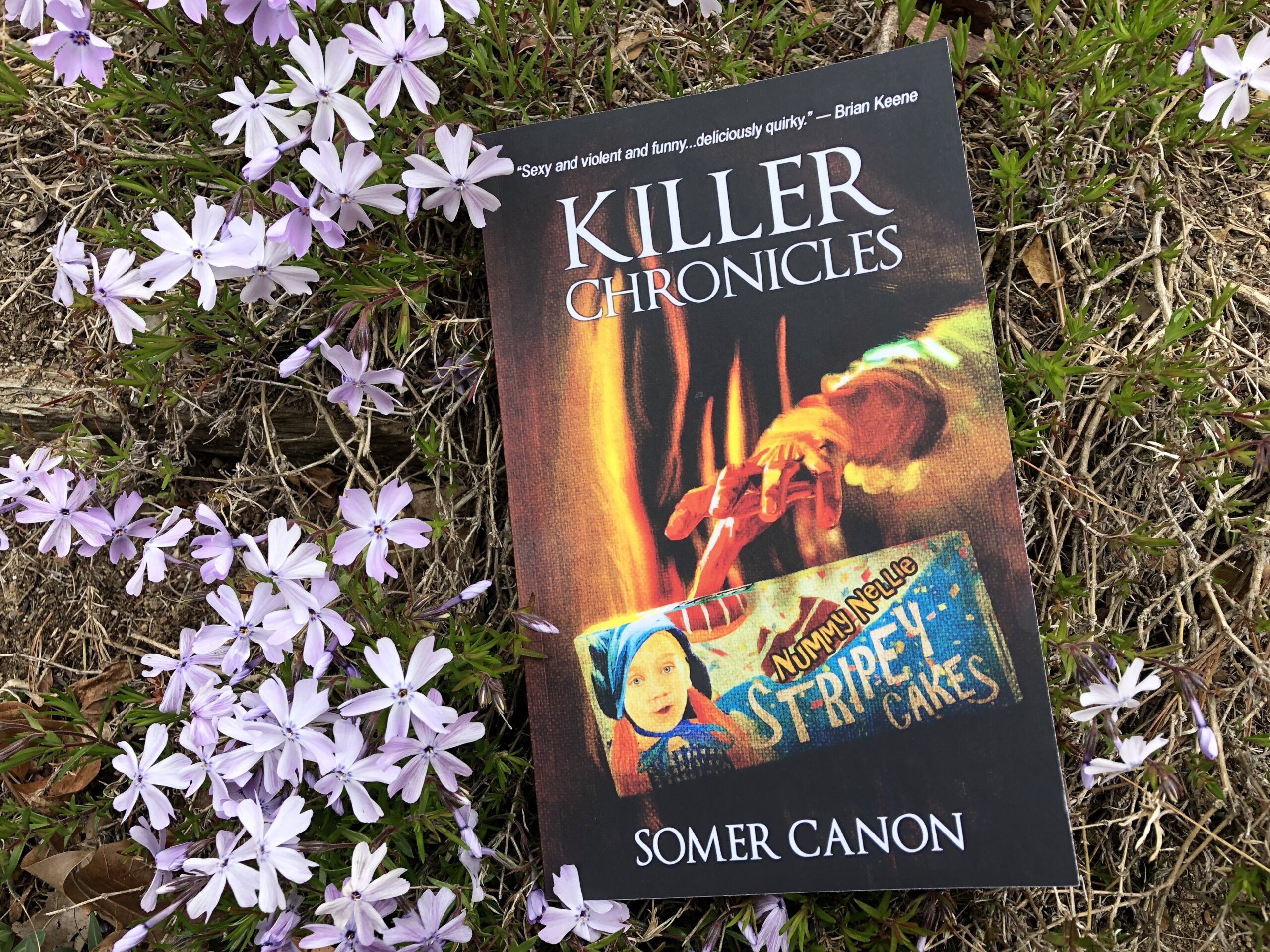 The Killer Chronicles by Somer Canon book photo by Erica Robyn Reads