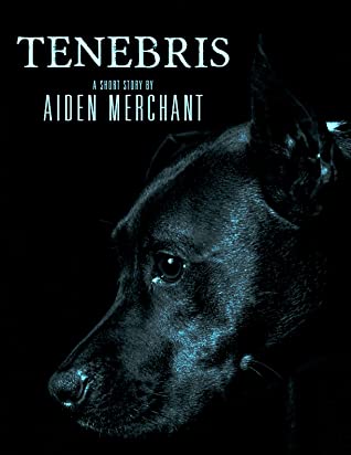 Tenebris by Aiden Merchant Book Cover