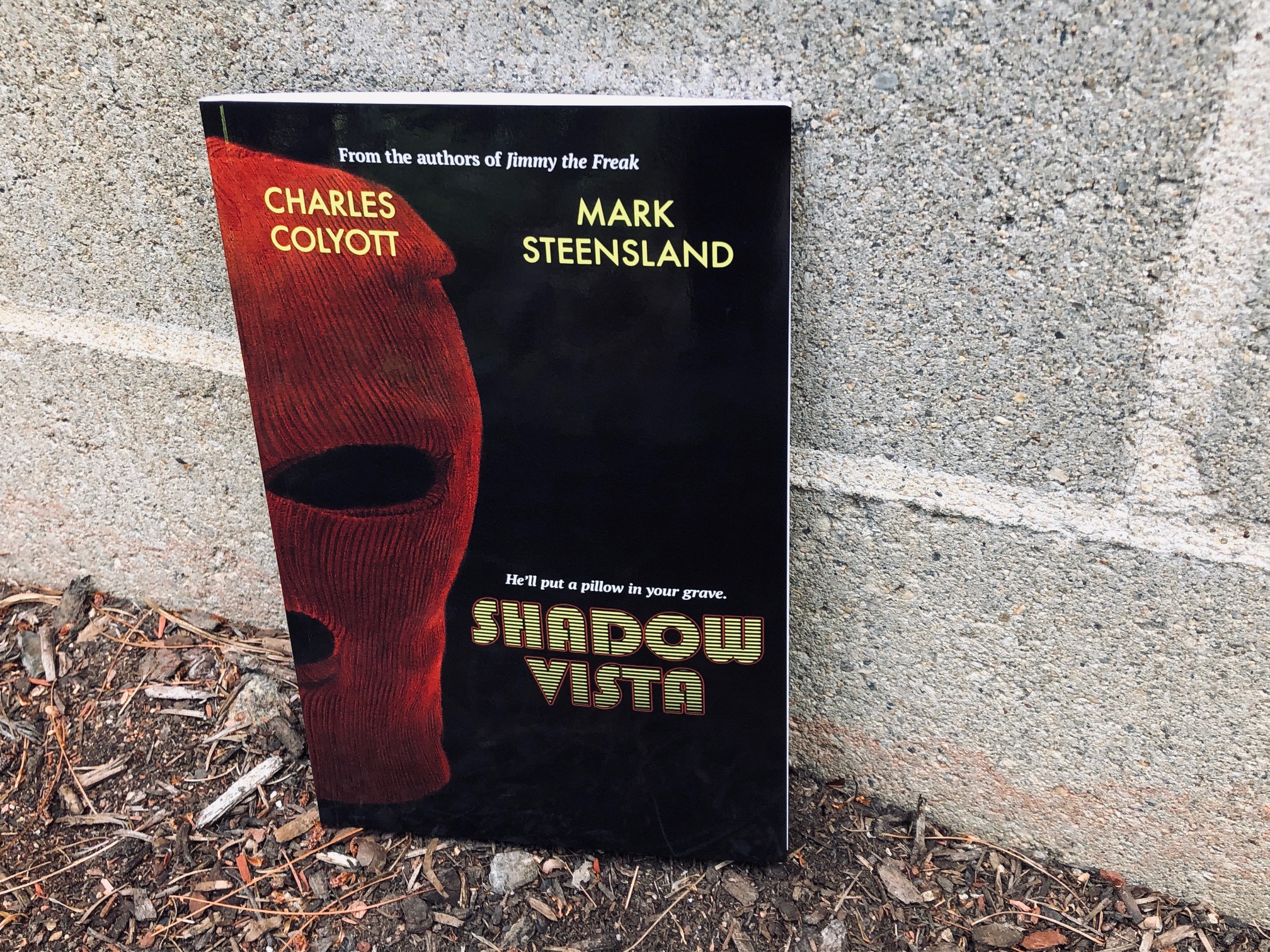 Shadow Vista Book photo by Erica Robyn Reads
