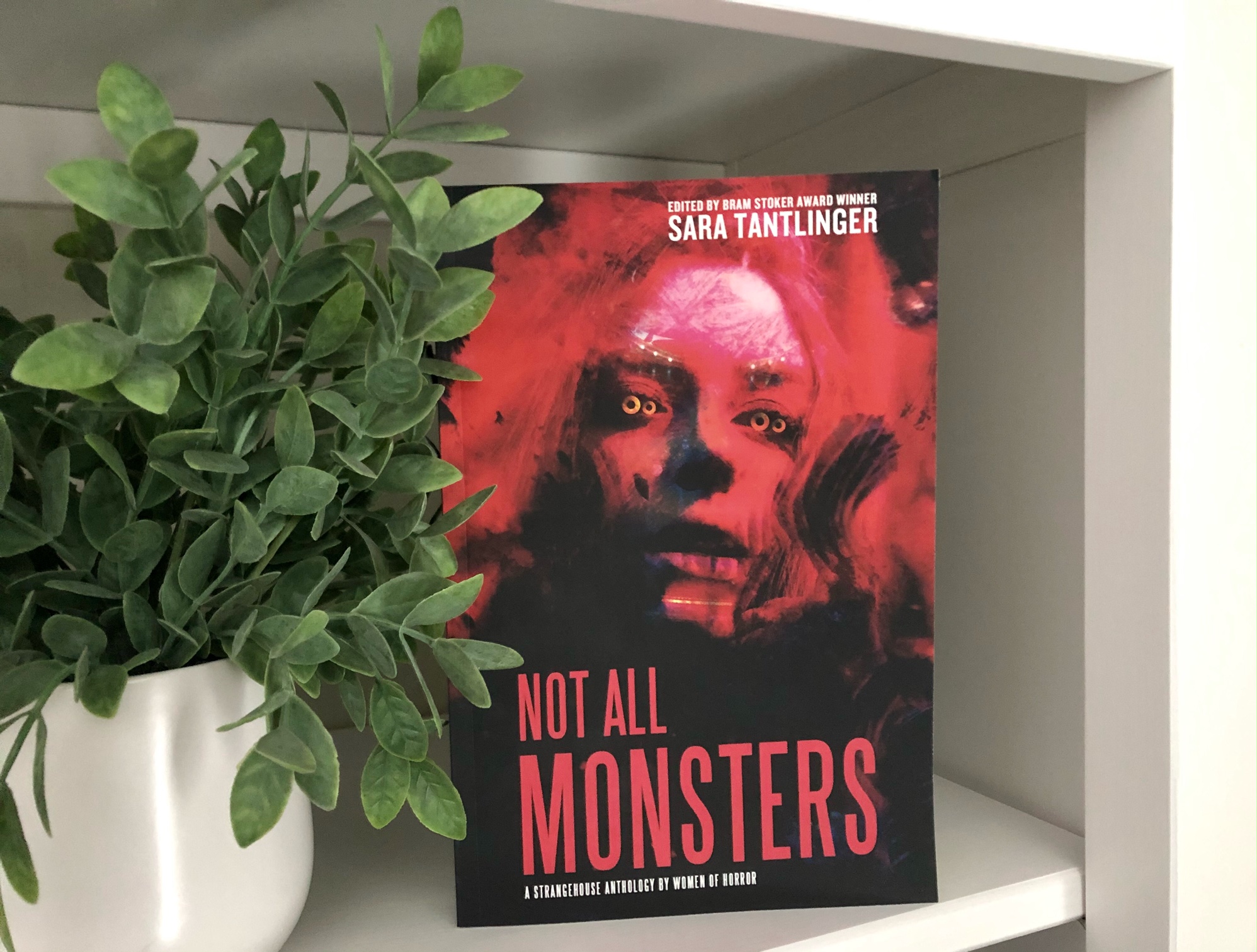 Not All Monsters Anthology book photo by Erica Robyn Reads