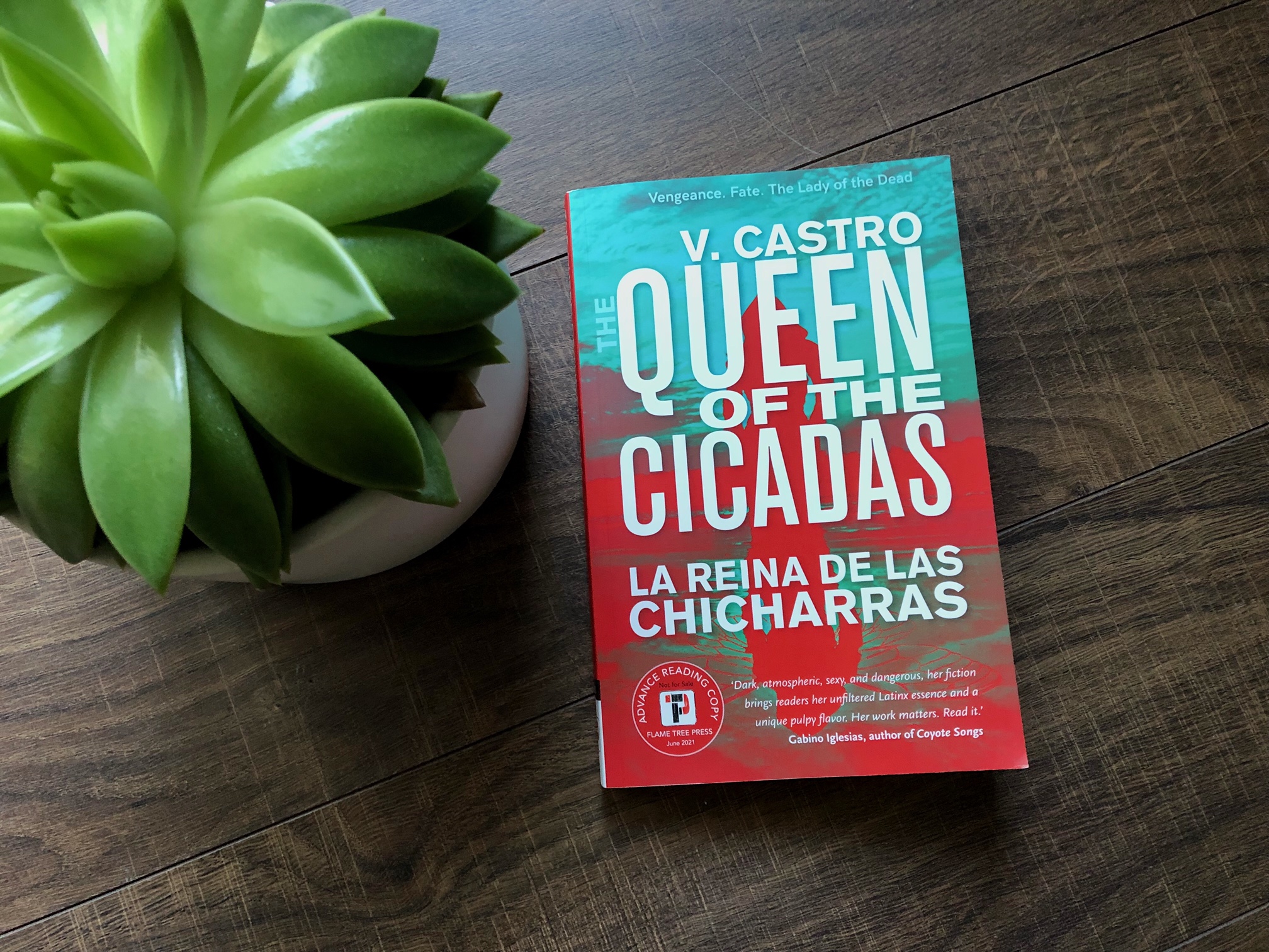 The Queen of the Cicadas by V. Castro book photo by Erica Robyn Reads