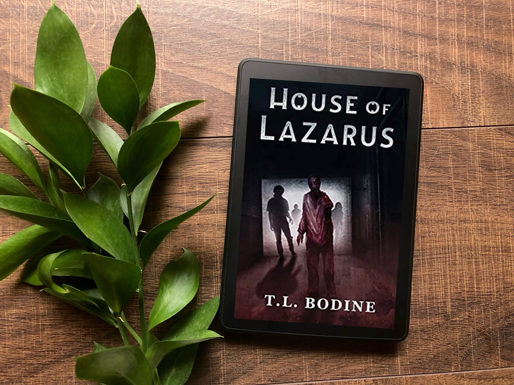 House of Lazarus by T.L. Bodine book photo by Erica Robyn REads