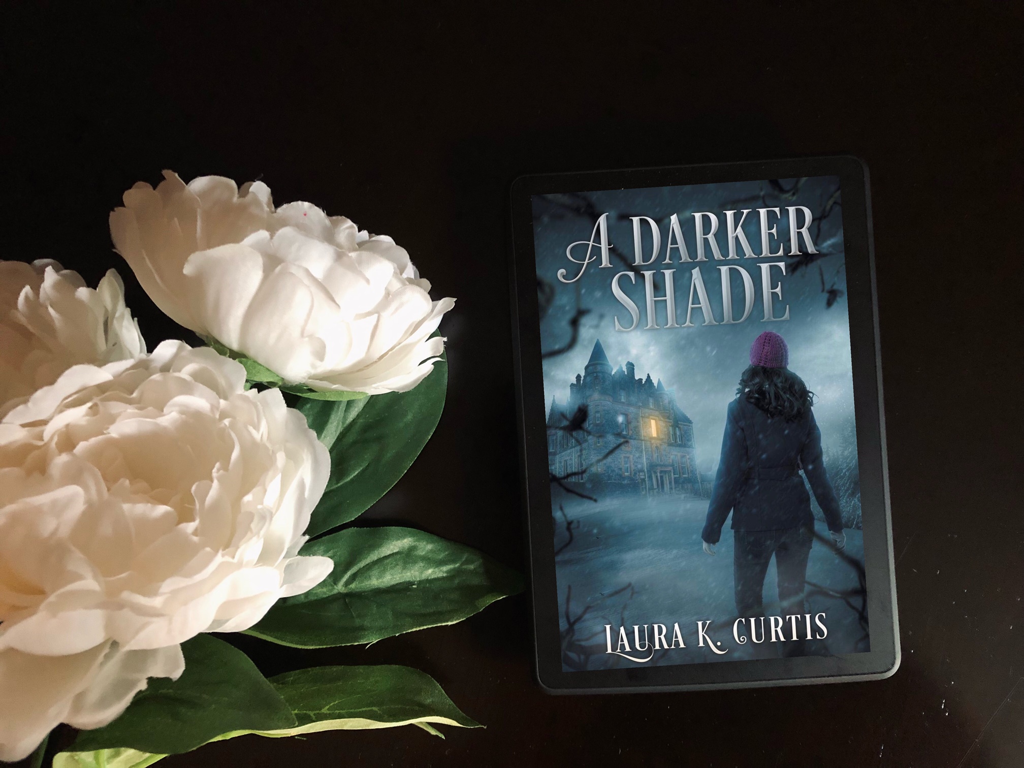 A Darker Shade by Laura K. Curtis book photo by Erica Robyn Reads
