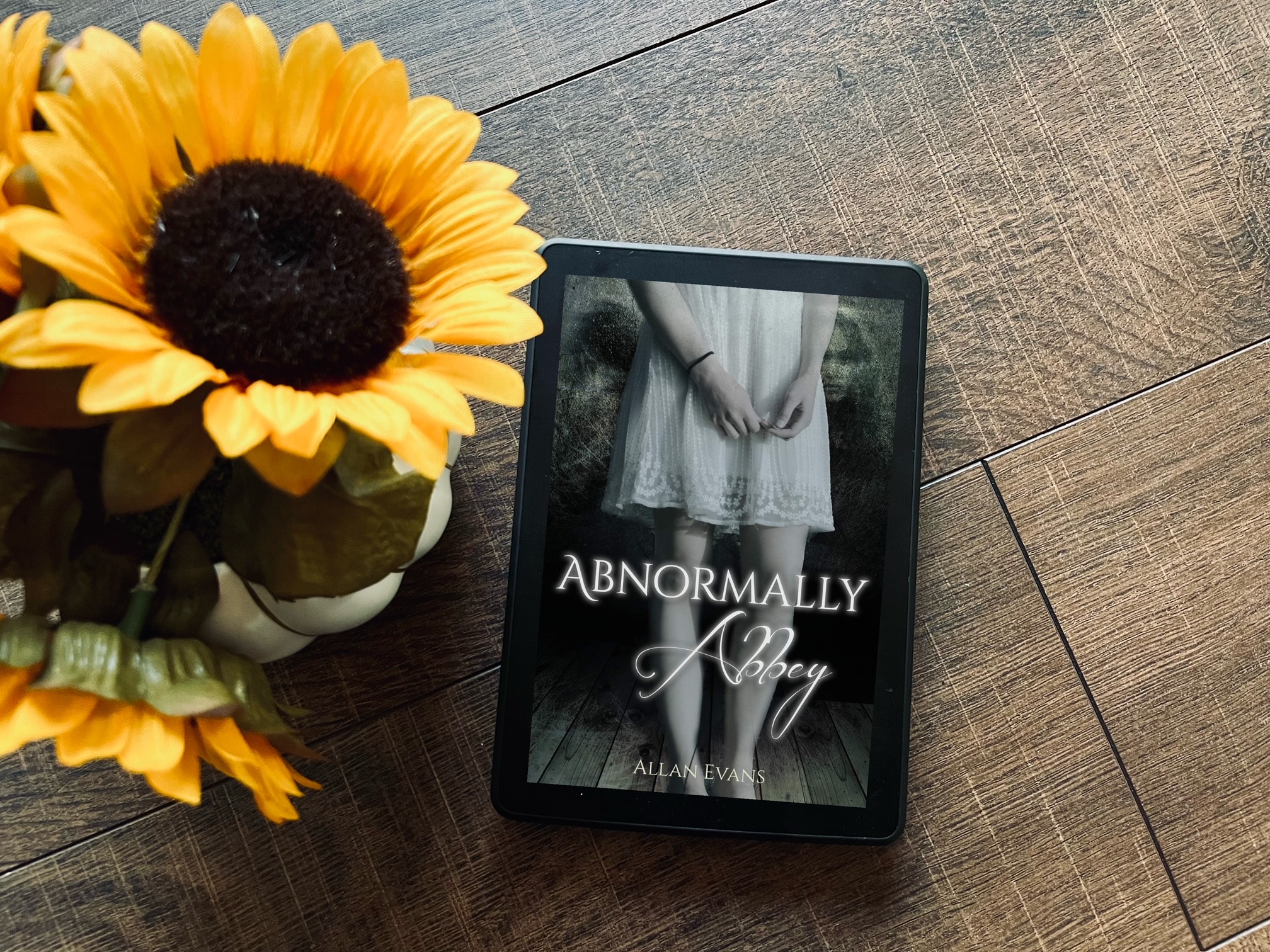 Abnormally Abbey by Allan Evans book photo by Erica Robyn Reads