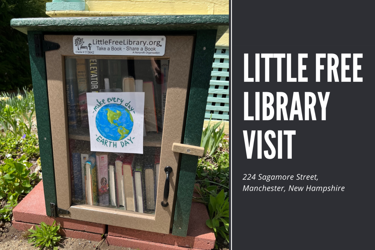 Little Free Library Visit - 224 Sagamore Street , Manchester, New Hampshire - Erica Robyn Reads