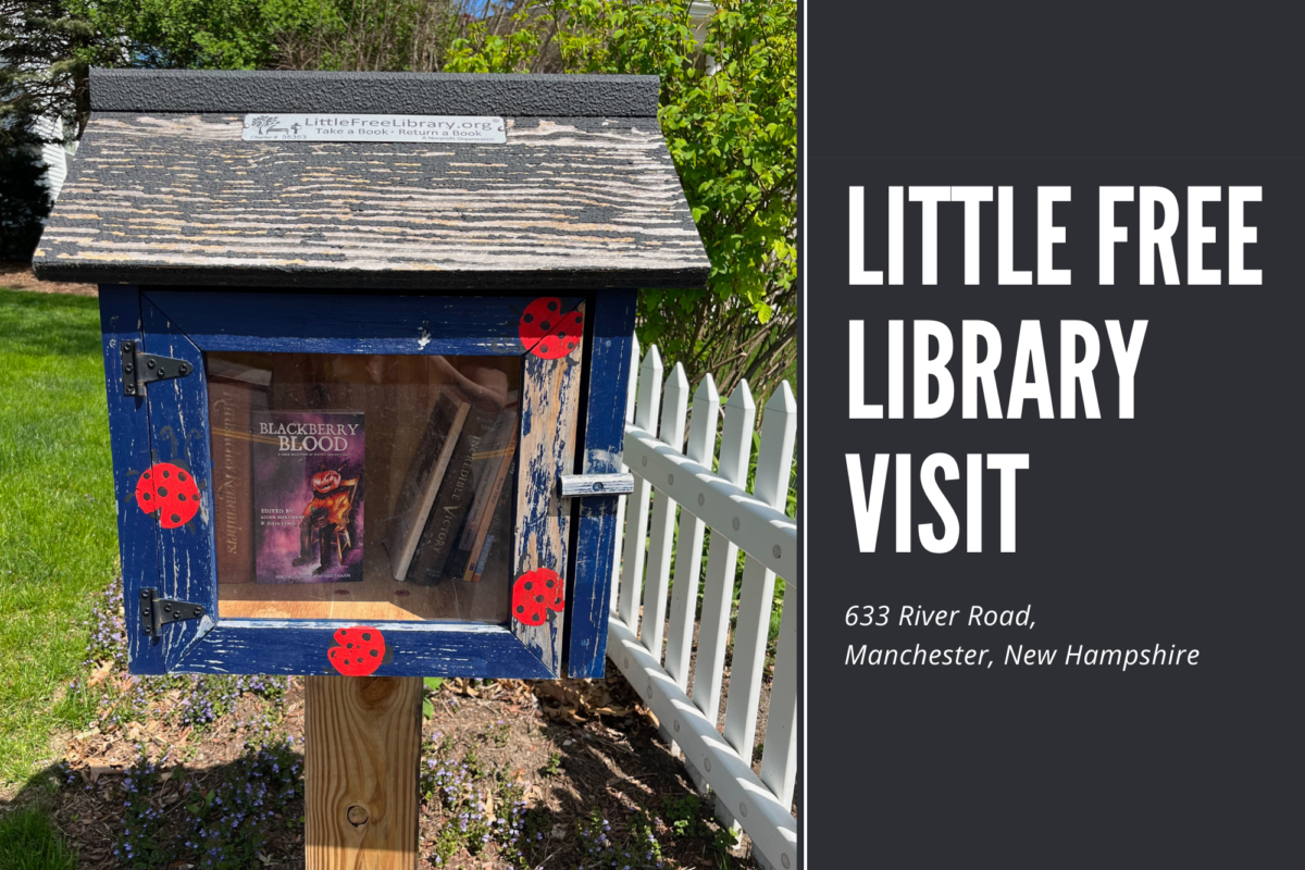 Little Free Library Visit - 633 River Road, Manchester, New Hampshire - Erica Robyn Reads