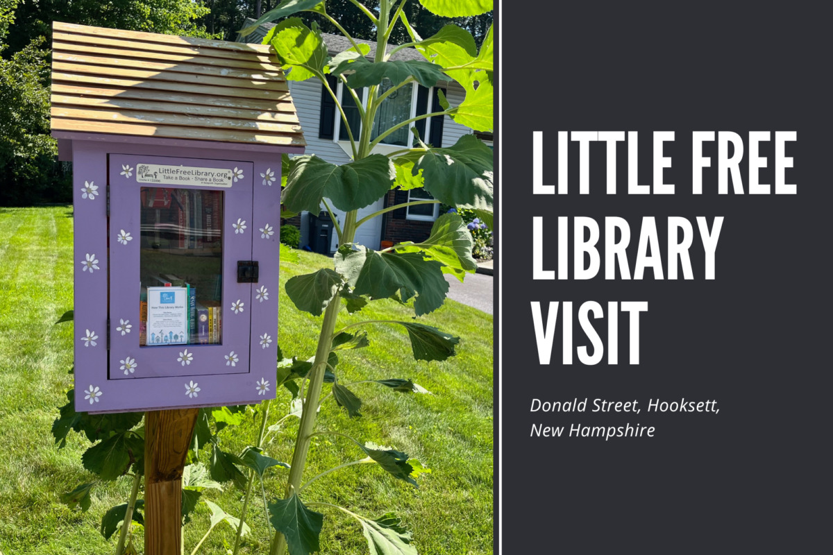Little Free Library Visit - Donald Street, Hooksett, New Hampshire