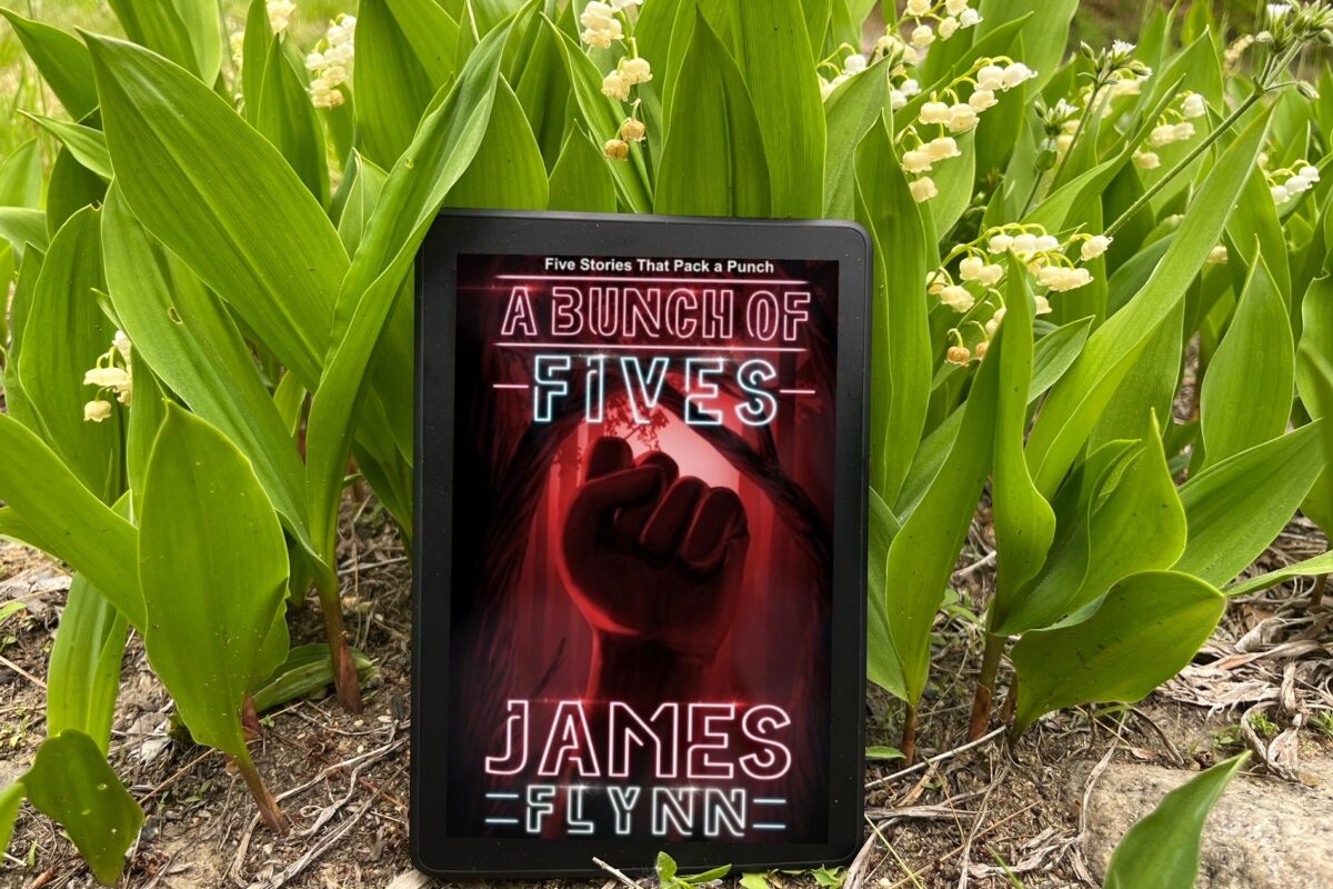 A Bunch of Fives by James Flynn book review and book photo by Erica Robyn Reads