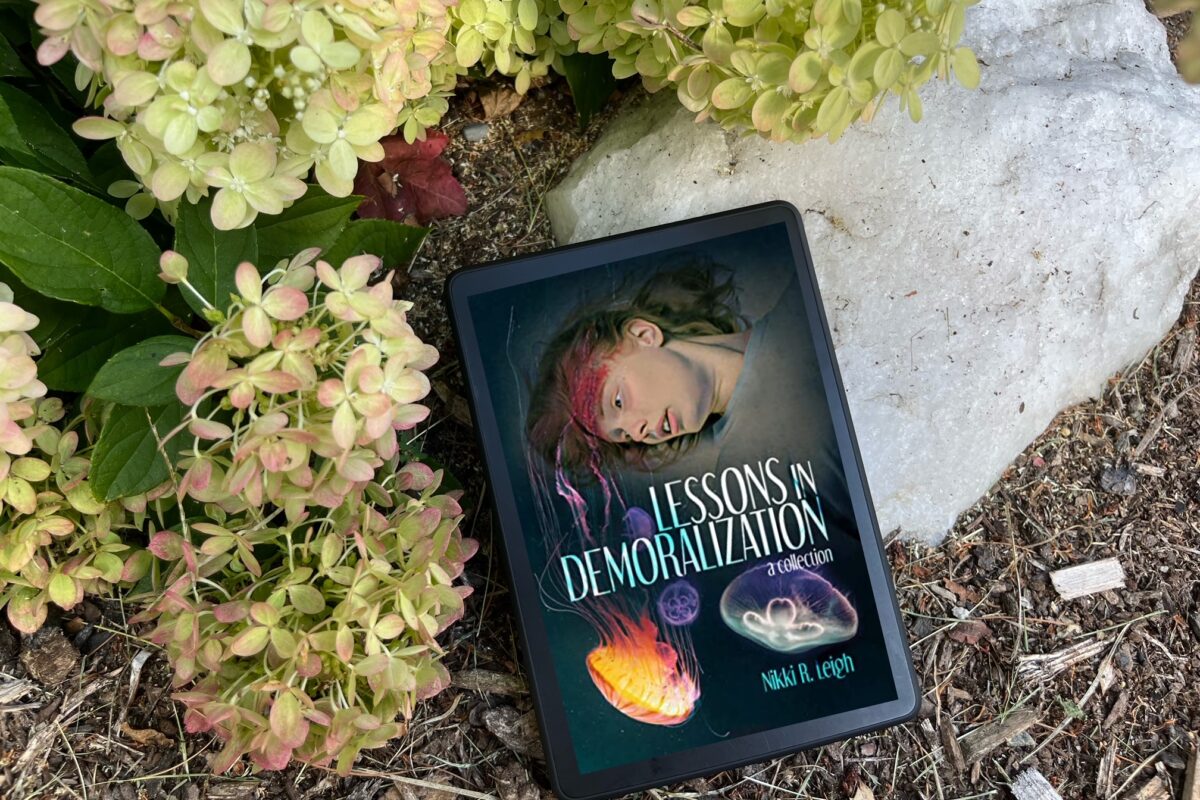 Lessons In Demoralization by Nikki R. Leigh book photo