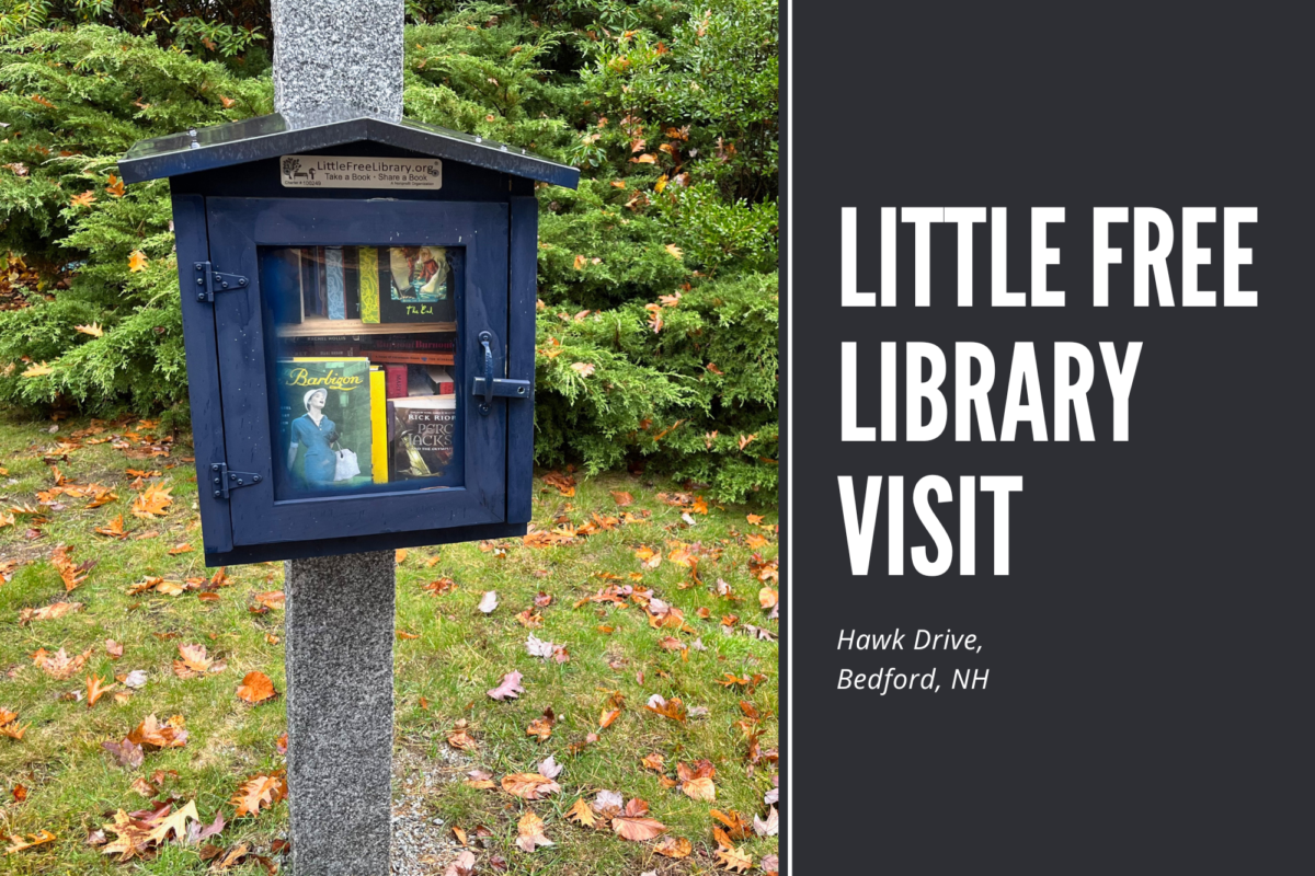 Little Free Library Visit - Hawk Drive, Bedford, New Hampshire