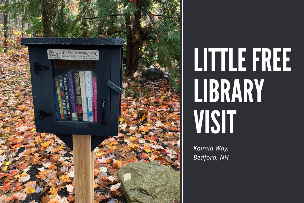 Little Free Library Visit - Kalmia Way, Bedford, New Hampshire