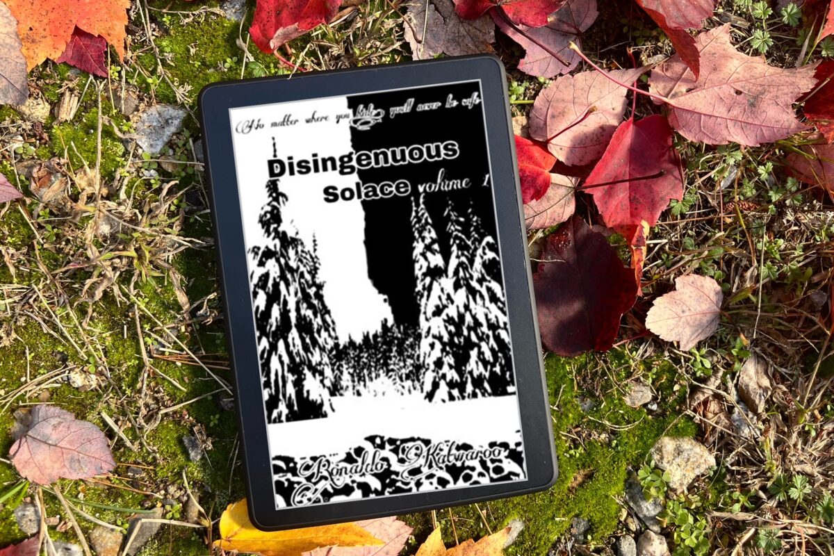 Disingenuous Solace Volume 1 by Ronaldo Katwaroo book photo by Erica Robyn Reads