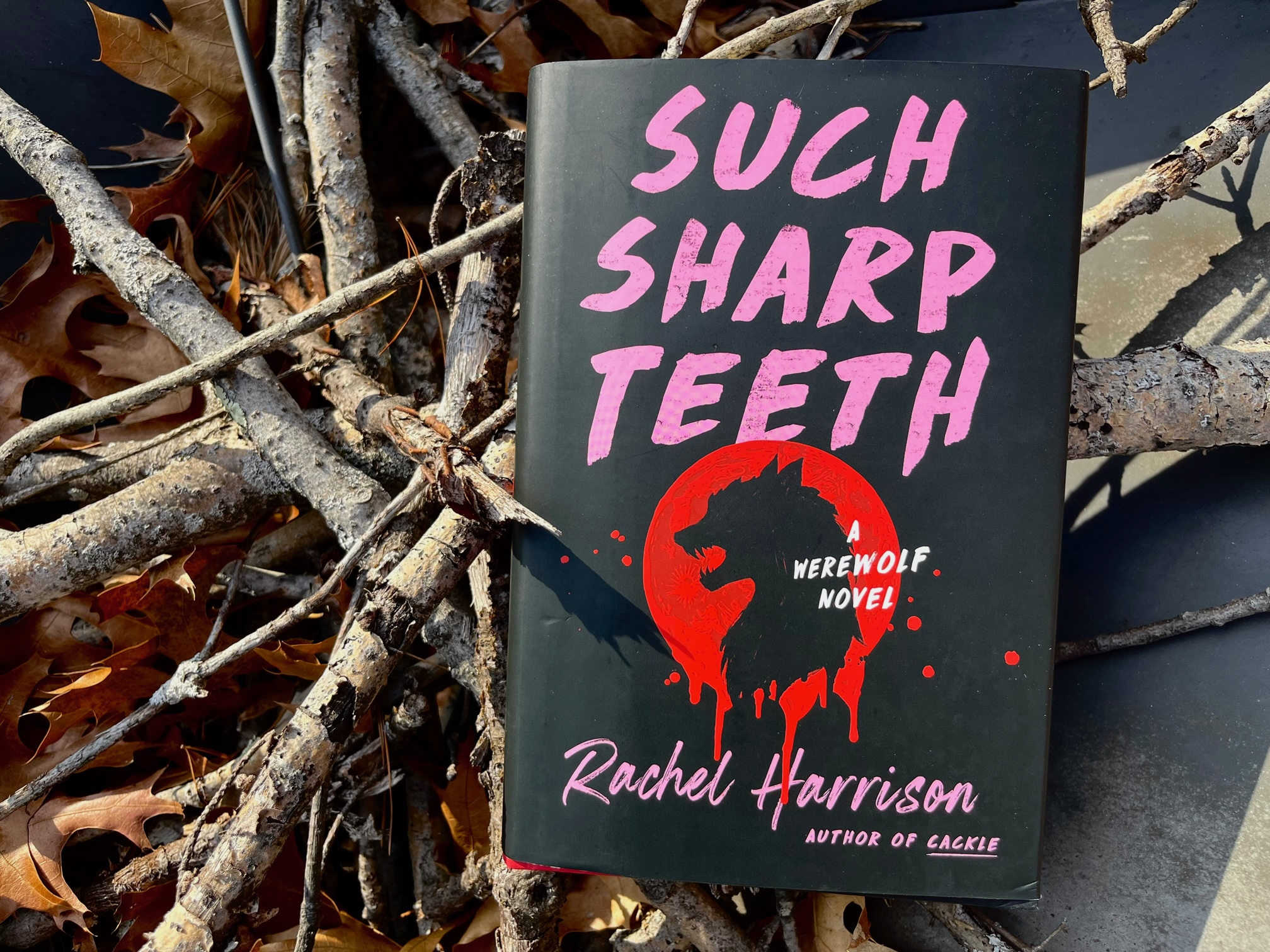 [Book Review] Such Sharp Teeth by Rachel Harrison Erica Robyn