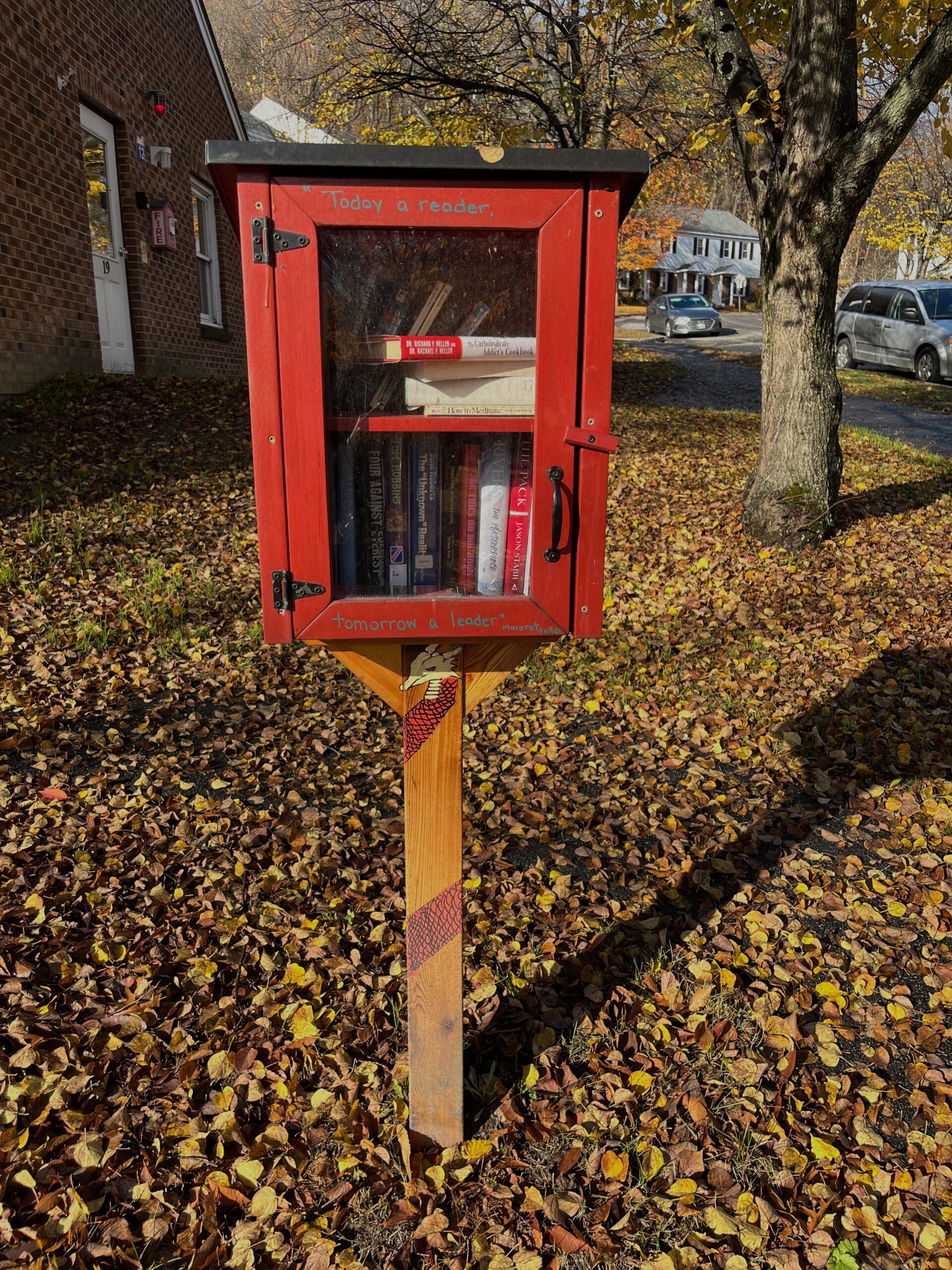 [Feature] Little Free Library Visit - #20 - Erica Robyn Reads