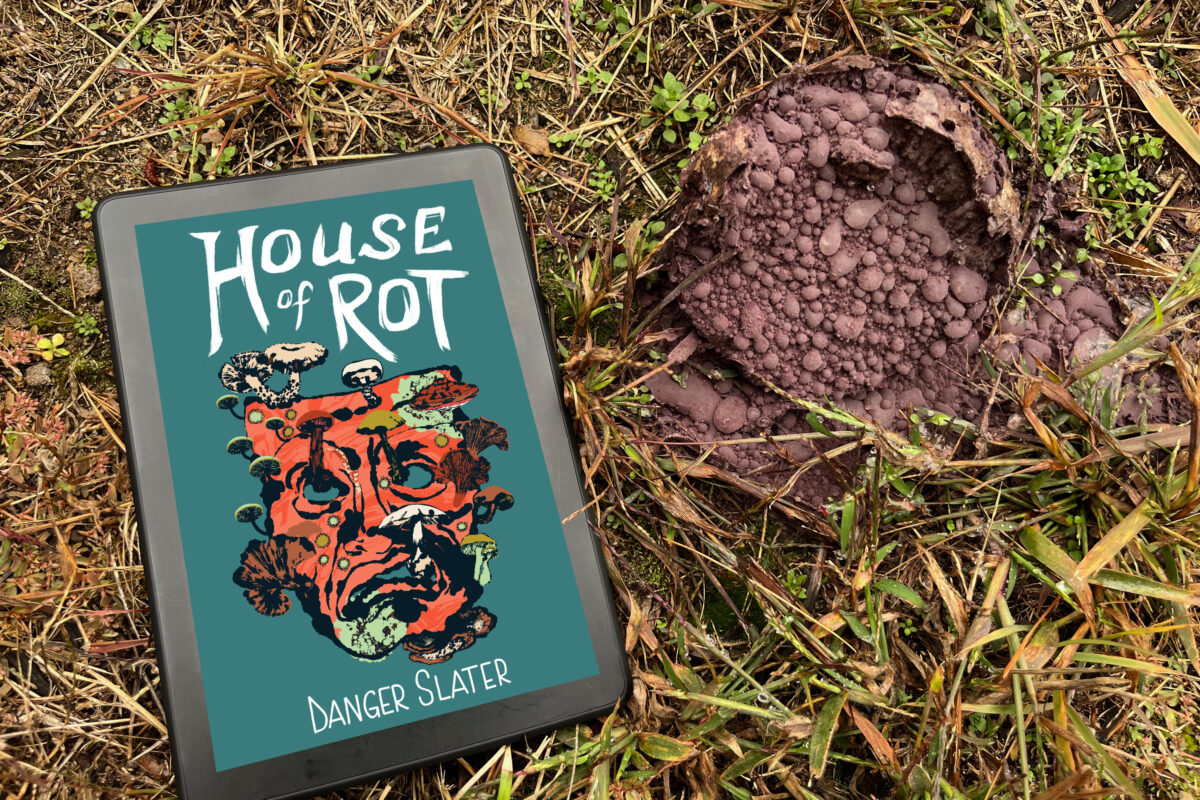 House Of Rot by Danger Slater book photo by Erica Robyn Reads - book sitting by a pile of something rotting