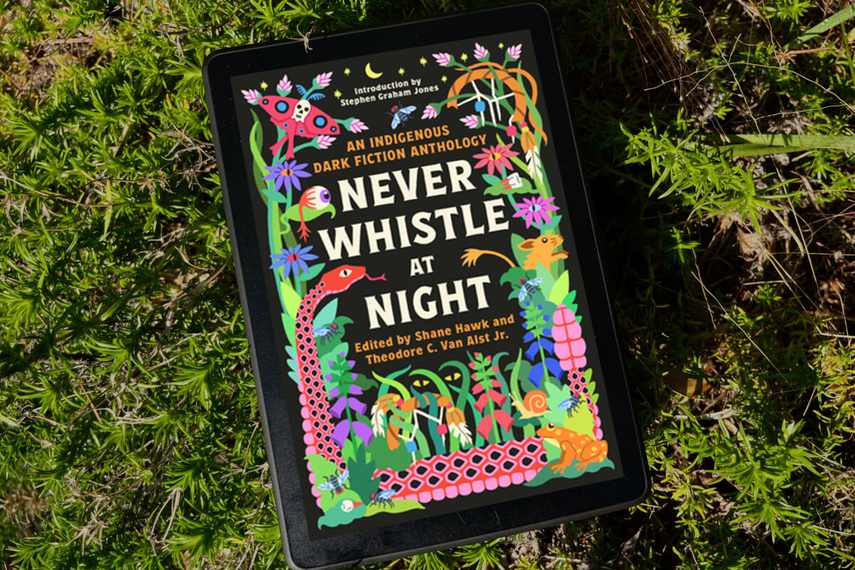Never Whistle at Night: An Indigenous Dark Fiction Anthology book photo by Erica Robyn Reads