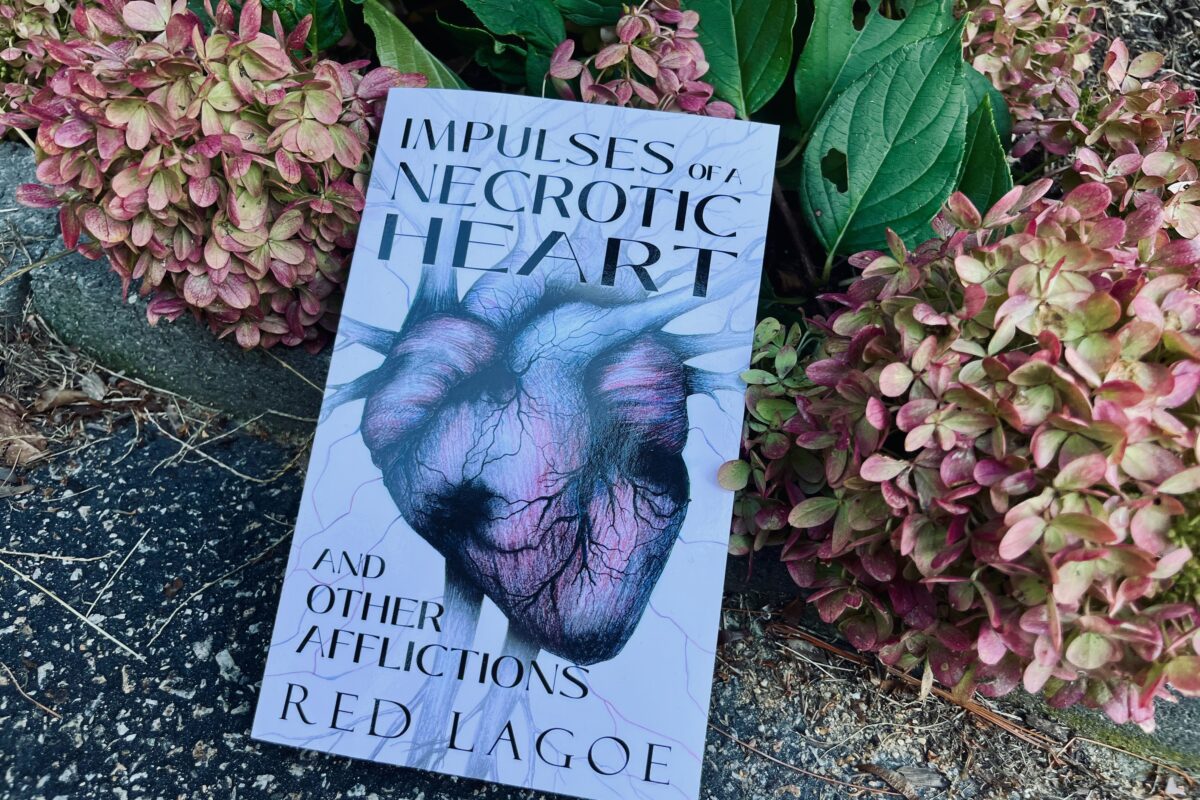 Impulses of a Necrotic Heart: and Other Afflictions by Red Lagoe book photo by Erica Robyn Reads