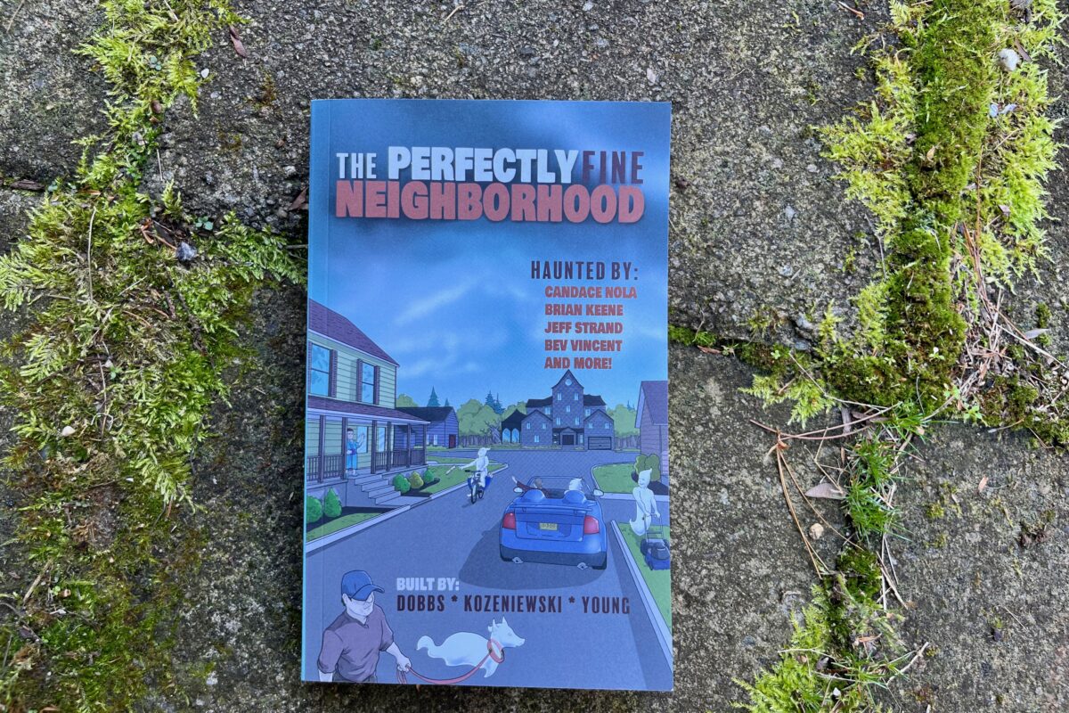 The Perfectly Fine Neighborhood Anthology book photo by Erica Robyn Reads
