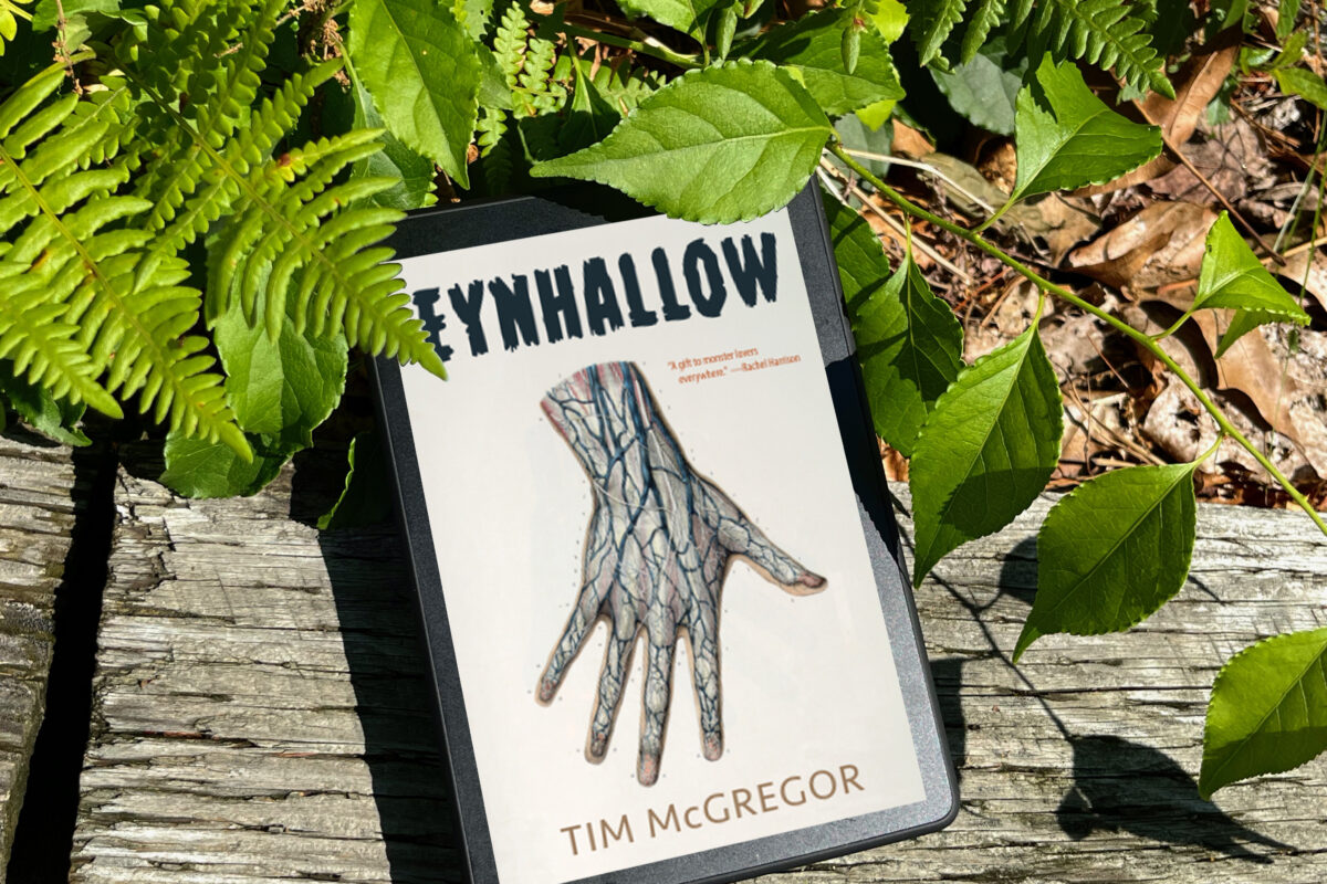 Eynhallow by Tim McGregor book photo by Erica Robyn Reads