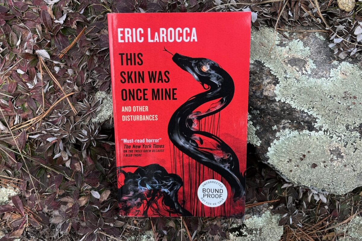 This Skin Was Once Mine and Other Disturbances by Eric LaRocca book phot by Erica Robyn Reads