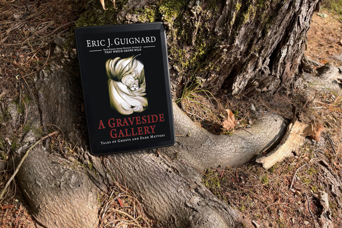 Book photo of A Graveside Gallery: Tales of Ghosts and Dark Matters by Eric J. Guignard